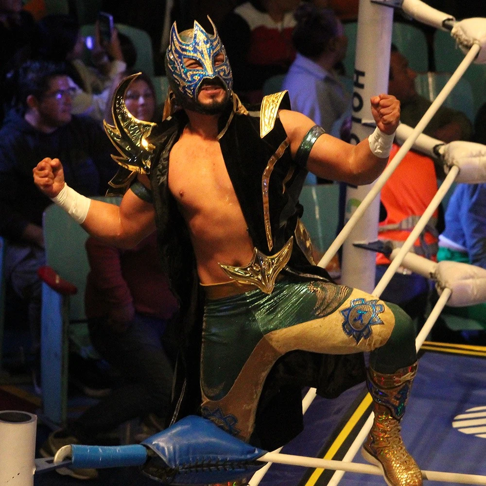 LUCHALIBRE