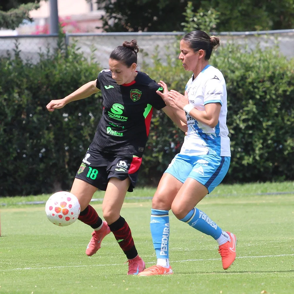 PUEVSJUAREZFEM PUEVSJUAREZFEM